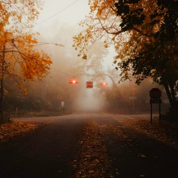 Meet your Posher, Krista - Picture 1 of 1